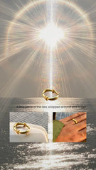 Poisson Ring