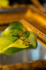 Crown Stud