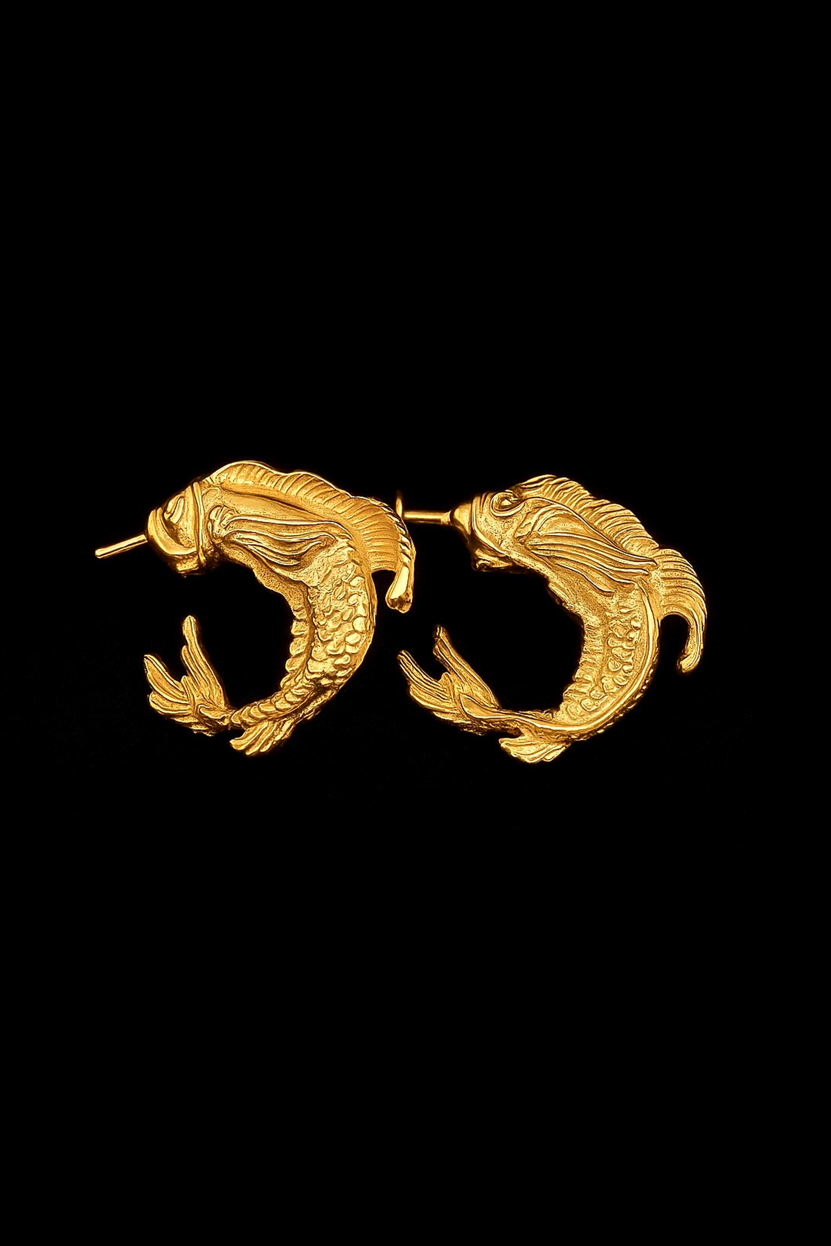 Hoop poisson Earrings
