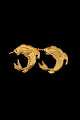 Hoop poisson Earrings