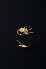 Les Horyeux Ring